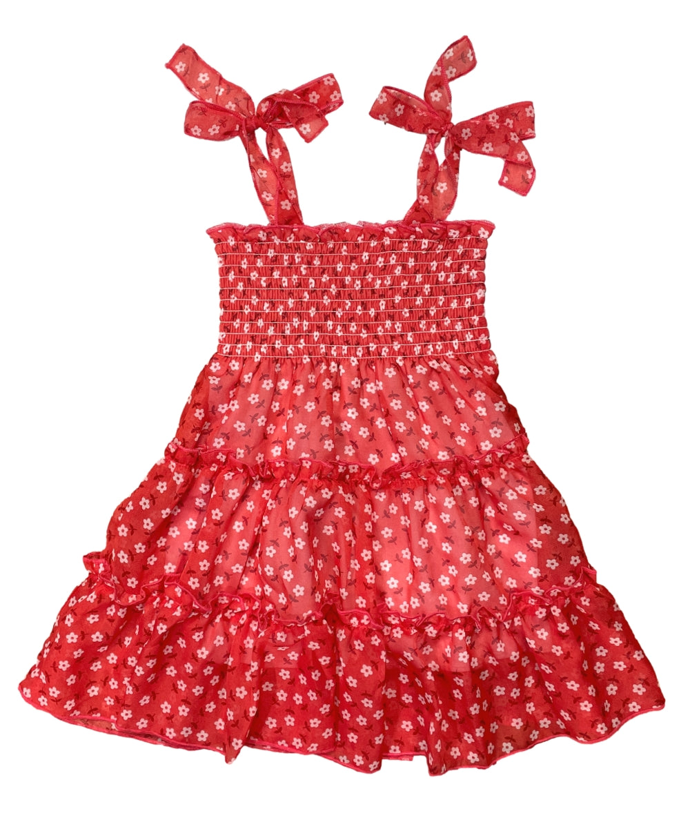 Girl Mix Colors Lined Chiffon Dress (2-4) $6.00 (5-8) $7.00 and (10-14) $7.50 Per Piece. DR1956