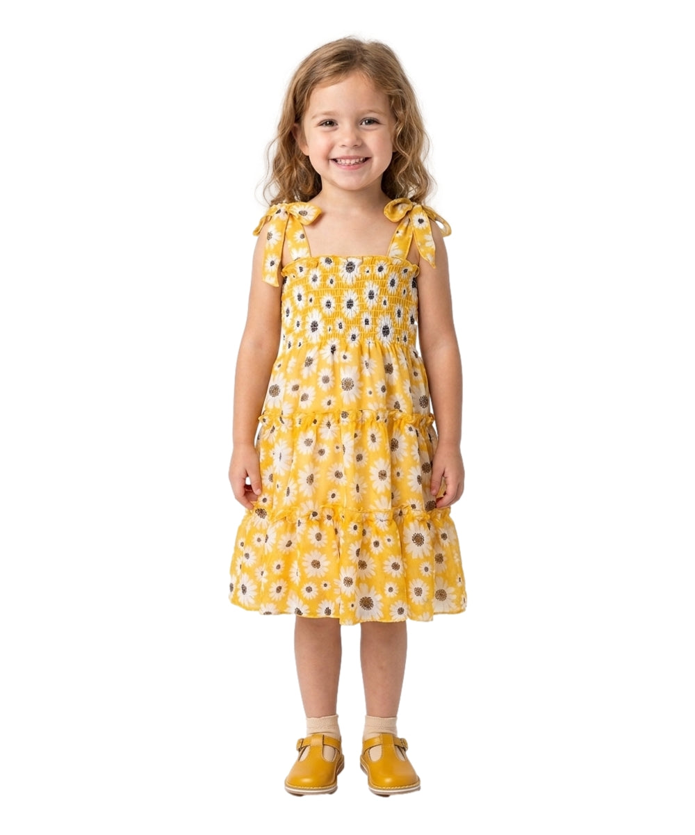 Girl Mix Colors Lined Chiffon Dress (2-4) $6.00 (5-8) $7.00 and (10-14) $7.50 Per Piece. DR1956